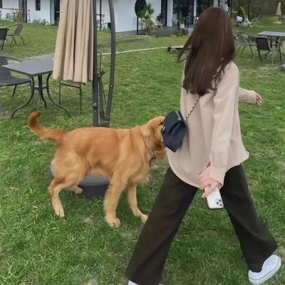 我们与爱的距离